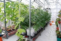 Farmářský profesionální skleník FARMER 16,8 x 7,5 - Volya LLC