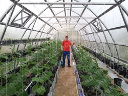 Farmářský profesionální skleník FARMER 21,0 x 4,2 - Volya LLC